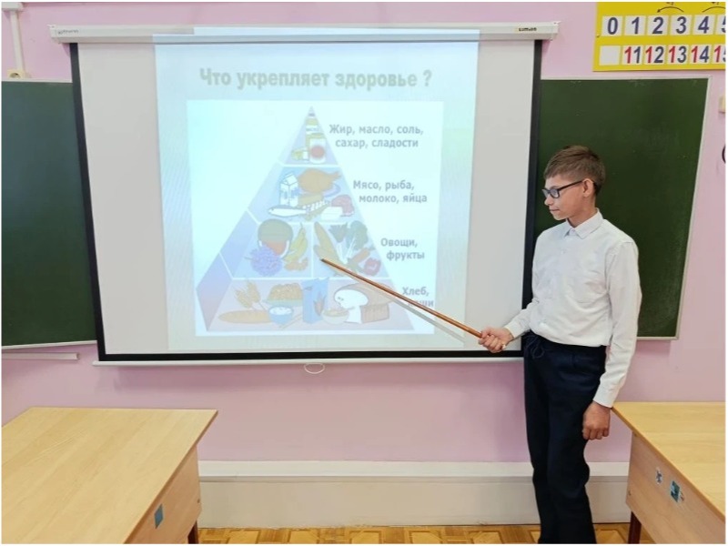 пирамида питания.